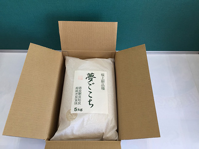  令和7年産 夢ごこち 10kg 白米 【T035W3】 近江米 ご飯 精米 5kg 2袋