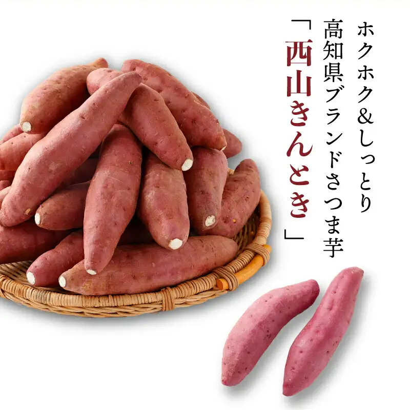 さつまいも 3月お届け 西山きんとき芋 サツマイモ 訳あり 10kg