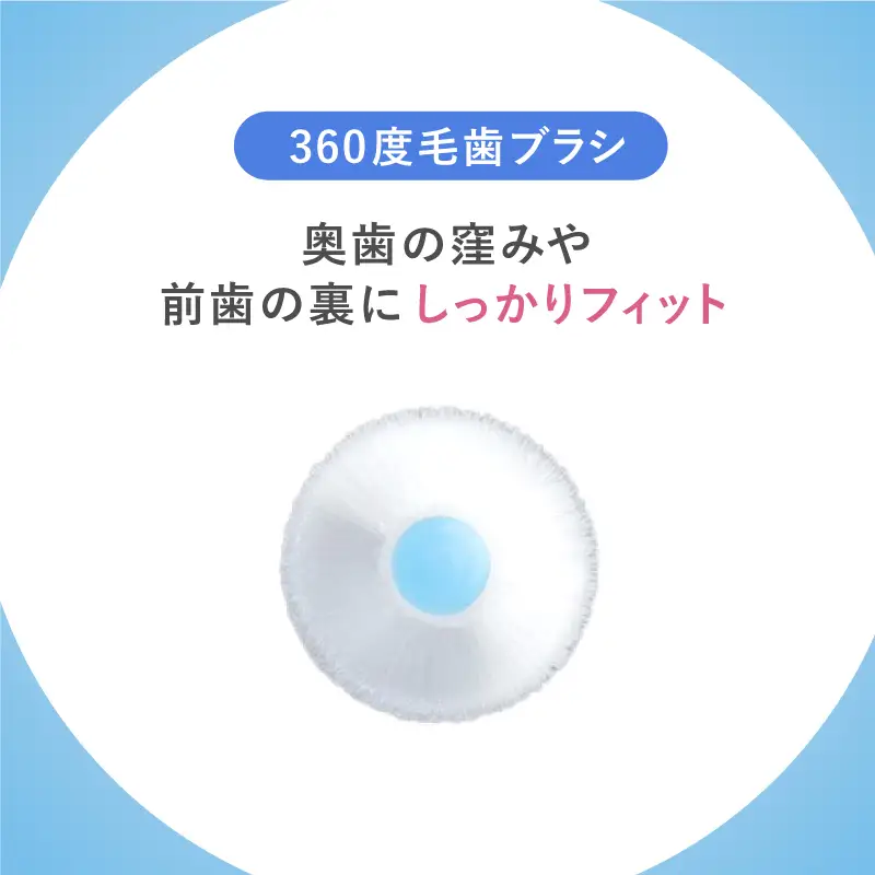 360度毛歯ブラシ「POPOTAN　爽」15本