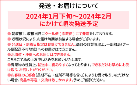 あまおうと旬のいちごの食べ比べセット 約270g×4パック　BO001