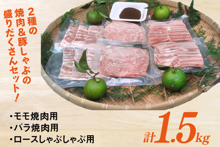 【宮崎ブランドポーク】へべす豚 焼肉 (モモ・バラ) & 豚しゃぶ (ロース) 各500g 計1.5kg
