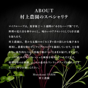 【マイクロハーブ セット（A）／アドバンスド5】 [h173]