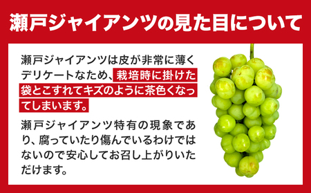たたらみねらる 瀬戸ジャイアンツ 約650g　ぶどう