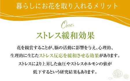 翌月より発送開始 お花の定期便 ・ デザインアレンジメント ・ カゴ付き 毎月2回 3ヶ月間 (計６回) アレンジメント 季節の花 生花 花 定期便 FJ103