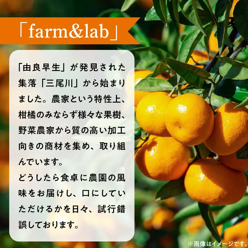 みかんジュース 1L×6本「ゆら絞りみかん 無添加」_DG6009