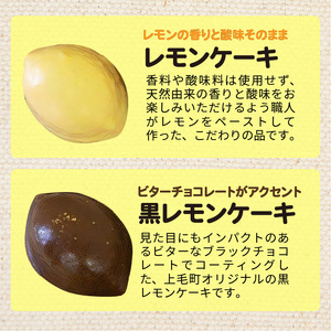 かぐやひめ卵のマドレーヌ＆レモンケーキセット_KT0102