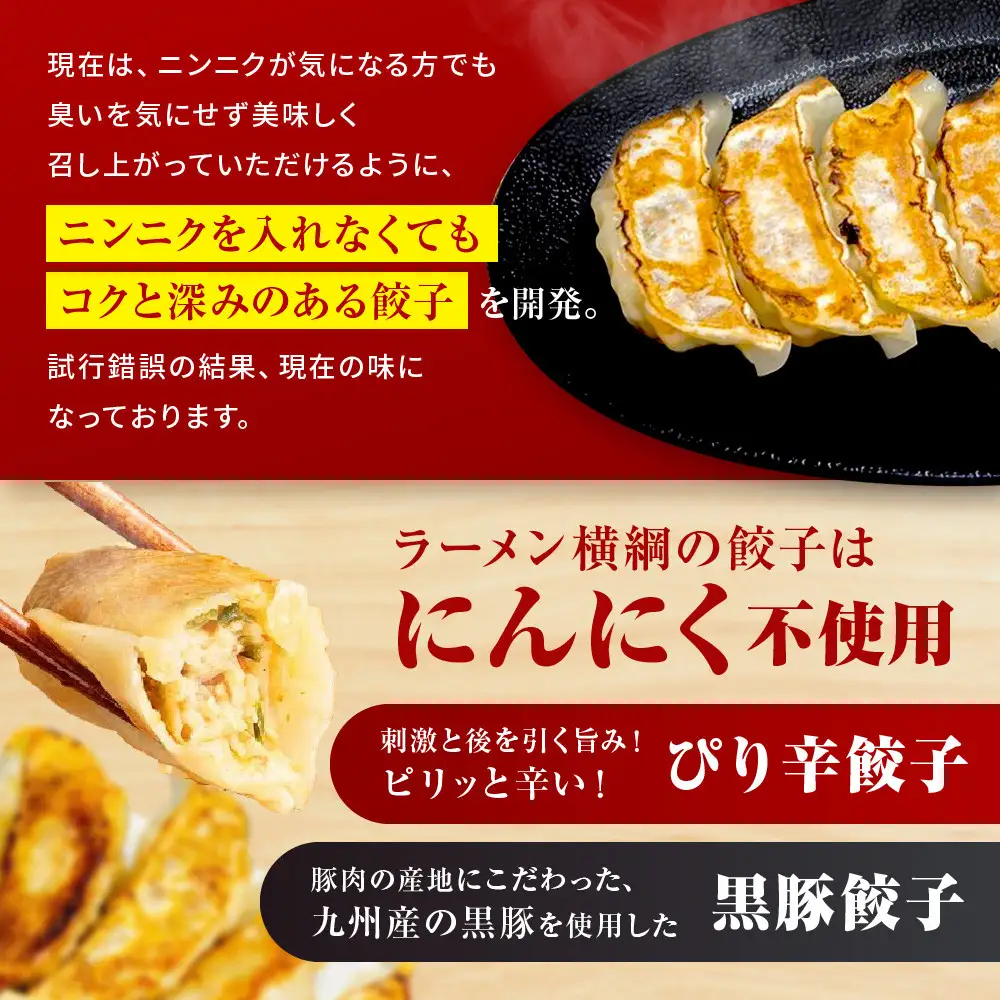 ニンニク不使用 ぴり辛餃子＆黒豚餃子10パック120個セット 京都 小分け 餃子 人気 ラーメン横綱