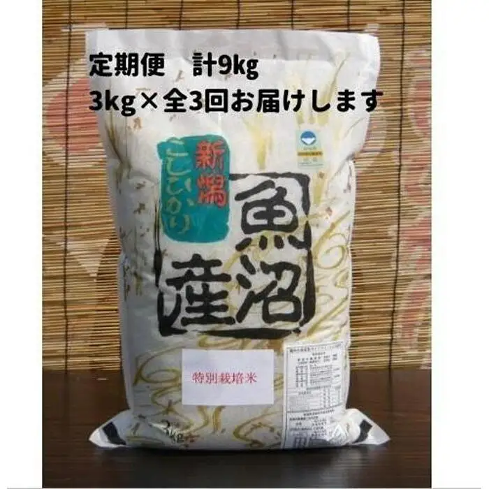 【令和７年】３か月定期便　がんこおやじが作った南魚沼産コシヒカリ白米３kg | 白米