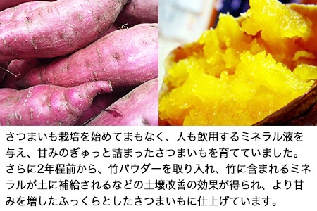 熊本県大津町産 ふくむらさき 5kg《2027年2月上旬-4月下旬頃出荷》 タカハマ観光農園 さつまいも 芋 紫芋 高糖度
