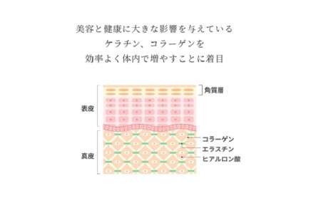 美容 麗 アミノ ビューティー 1個75g（2.5g×30袋） アミノ酸サプリメント 潤い 美容