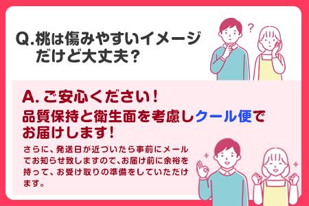 【2027年先行予約】桃 あら川の桃 約4kg