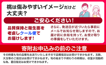【2027年先行予約】 桃 紀の里の 桃 約2kg