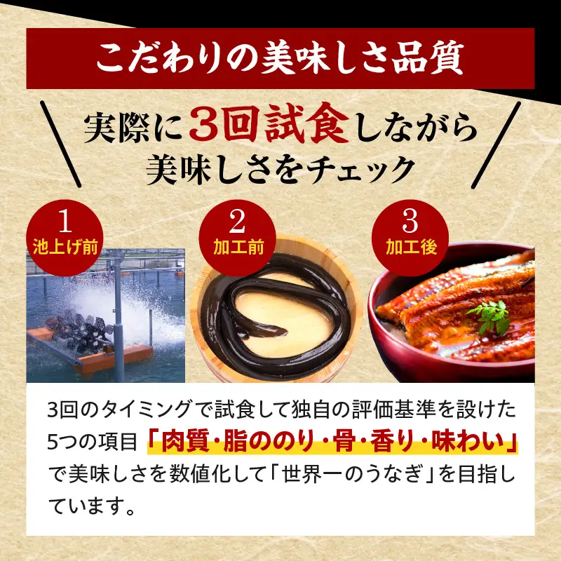 うなぎ 蒲焼 うなぎ[国産 3尾 計480g以上]