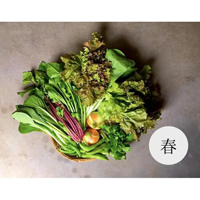 【つくだ農園】京都大原の里山から！旬の有機野菜BOXとジャムセット