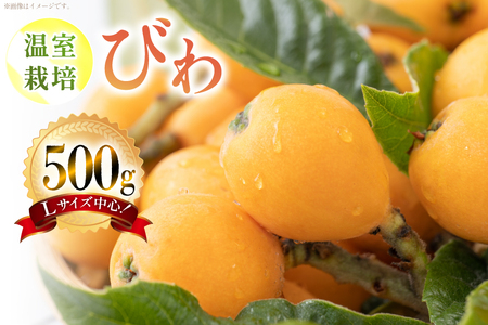 AF220【令和9年度出荷分】びわ 果汁たっぷり！川田さん家の温室栽培びわ 500g