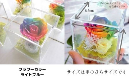 メッセージ刻印 プリザーブドフラワー レインボーローズ クリアボックス 5色
