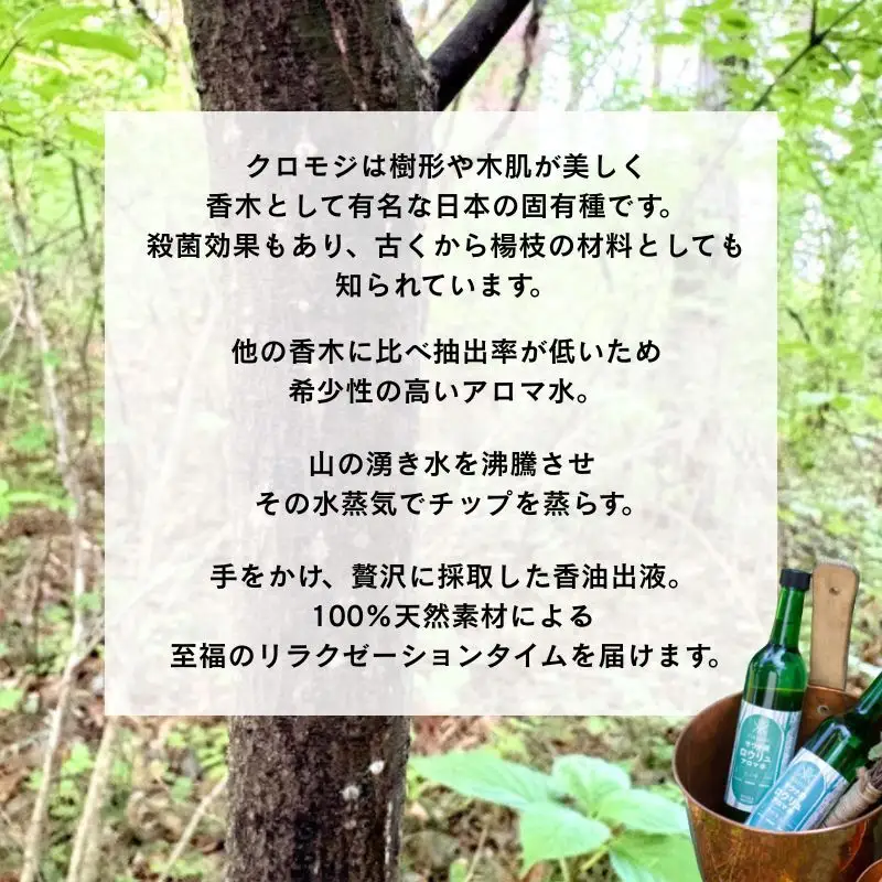 【 ファイヤーサイド 】 サウナ アロマ水 クロモジ (  FIRESIDE キャンプ キャンプ用品 アウトドア アウトドア用品 ロウリュ ) 長野県