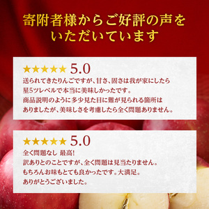 【訳あり】りんご 青森 サンふじ 約 5kg （12～18玉) リンゴ サイキチ農園 青森県 鰺ヶ沢町産 フルーツ 果物 不揃い 傷 林檎 サンフジ ふじ 12月～1月発送 