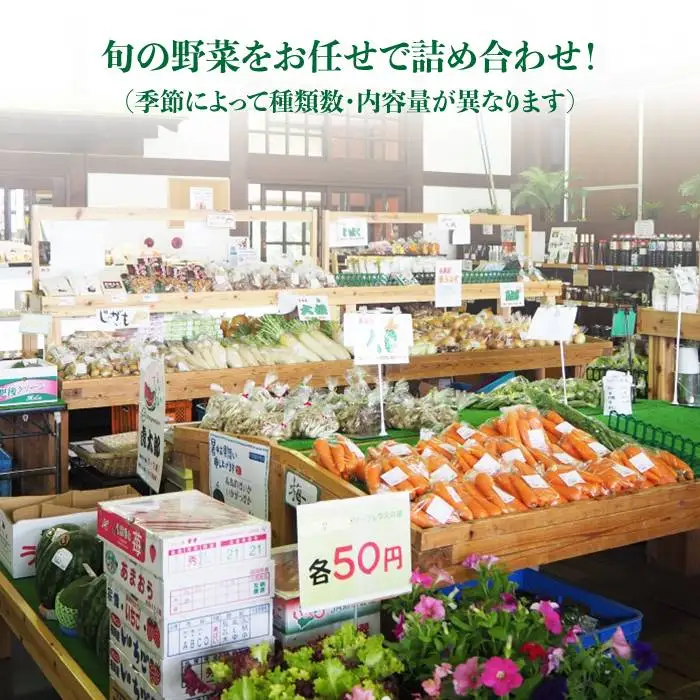 福岡県 糸島産 旬 の 野菜 盛り合わせ セット《糸島》【株式会社フロンティア・アドバンス】 [AWC006]