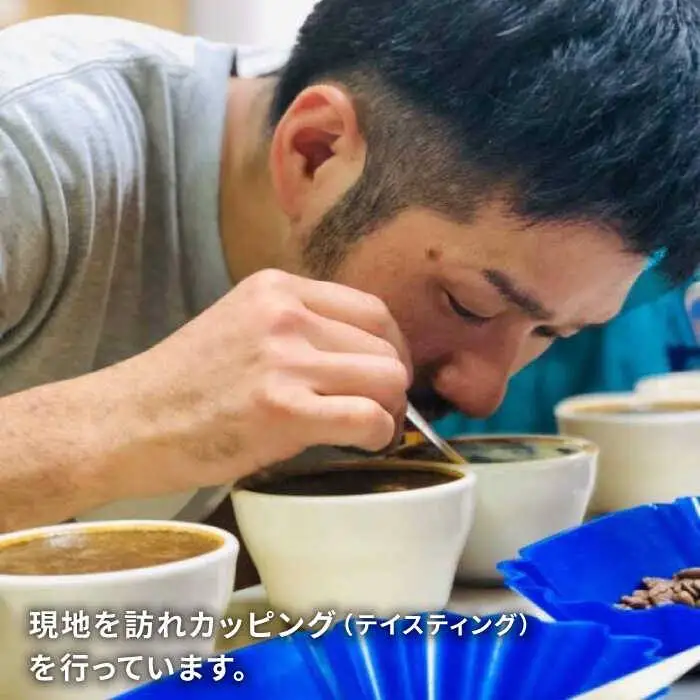 中深煎り コーヒー 豆 タナカフェブレンド 250g × 2袋（ 豆 ・ 粉 選べます ） 《糸島》 【COFFEE UNIDOS】 [AQF011]