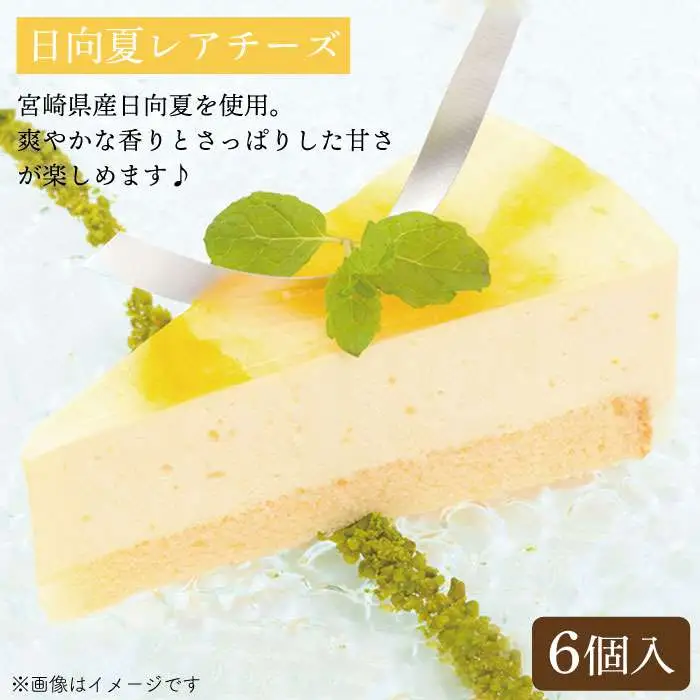 レアチーズケーキ( あまおう/ 日向夏 ) ケーキ 2種12個 冷凍 糸島市 / 五洋食品産業 [AQD008]