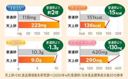 【 全12回 定期便 】 こだわり の 卵 「 天上卵 」 40個 セット 糸島市 / 糸島ファームハウスUOVO [AKH008]