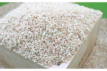 【 栽培期間中農薬不使用 】米 旋風 ヒノヒカリ 玄米 5kg 《糸島》 【百笑屋】 [ABF007]