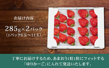【その日一番のあまおうを即日出荷！】 本格 あまおう ( 285g × 2パック) いちご 苺 糸島市 / みのりのりん [ABD002] ランキング 上位 人気 おすすめ