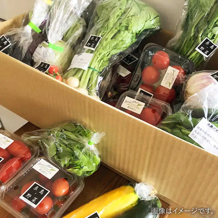 【全6回定期便】旬を味わう 糸島 野菜 セット 10?14種 （14パック） / イタリア野菜 オーガニック 野菜ソムリエ 松永 糸島市 / vegeLabo [AJB002]