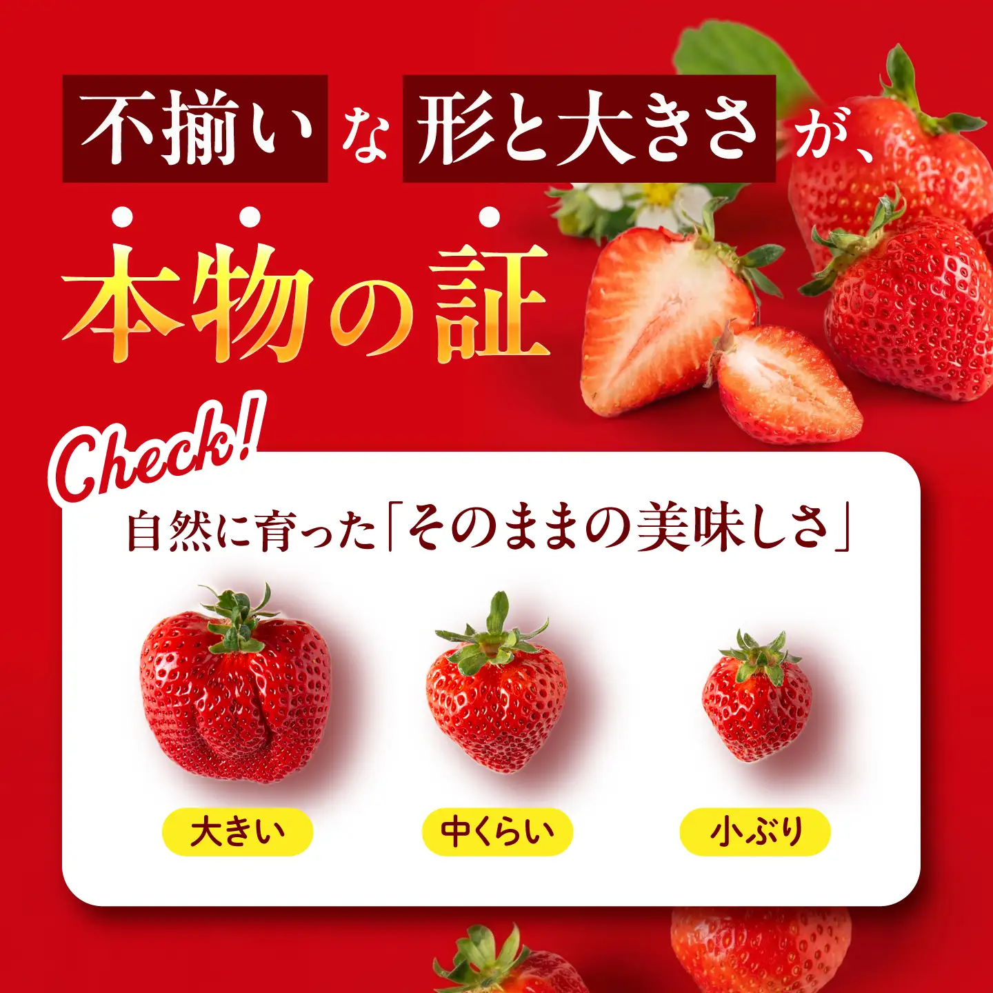 あまおう【2027年1〜2月配送】糸島のあまおう 270g×2パック [ATB003] いちご 果物