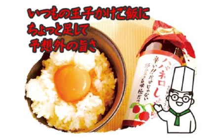 ハバネロ 酢 しょうゆ 100ml《糸島》【シェフのごはんやさん四季彩】【いとしまごころ】[ACC010]