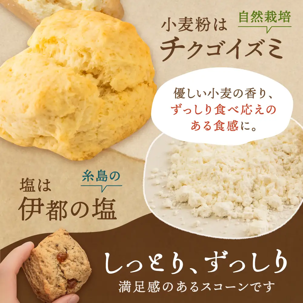 スコーン の イメージ が変わる！ 定番 スコーン 12個セット  糸島市 / キナフク 焼き菓子 焼菓子 洋菓子 スイーツ パン [AFA001] ランキング 上位 人気 おすすめ