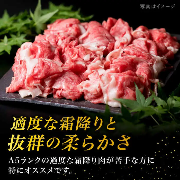 黒毛和牛 牛肉切り落とし 250g 4P 計1kg もも バラ ミックス A4  [ACA031] 牛肉切り落とし