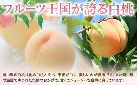 ご家庭用 おかやまの桃 約1.3kg　白桃