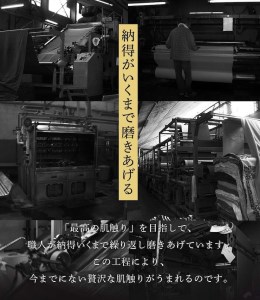 カシミヤブランケット グランドプレミアム シングル (140×200cm) [1742]【db】