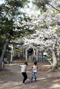 【お宮参り七五三などの付き添いでの撮影！】二科展写真作家が撮影！碧南市内での記念撮影 額縁納品1枚＆データ納品　H159-004
