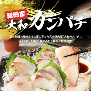 大和カンパチの切り身　約600ｇ N072-YA5532