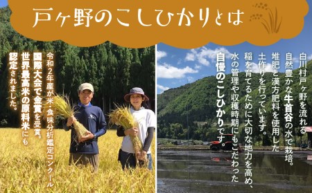 白川郷産 こしひかり使用 甘酒 500ml×2本 あま酒 あまざけ ノンアルコール 戸ヶ野 こしひかり 大田ファーム 米麹 岐阜県 白川村 9000円 [S227]