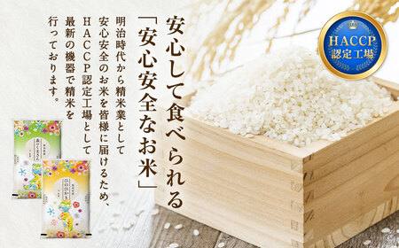 【令和5年産 森のくまさん 7kg × 森のくまさん 7kg】計14kg 新鮮 熊本県産 白米