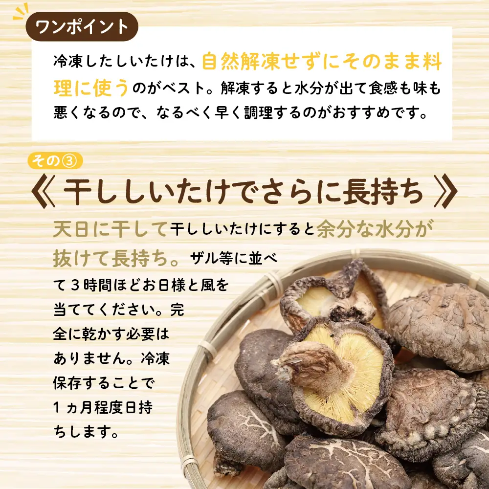 しいたけ 1kg(500g×2袋) 国産 肉厚 青森 きのこ