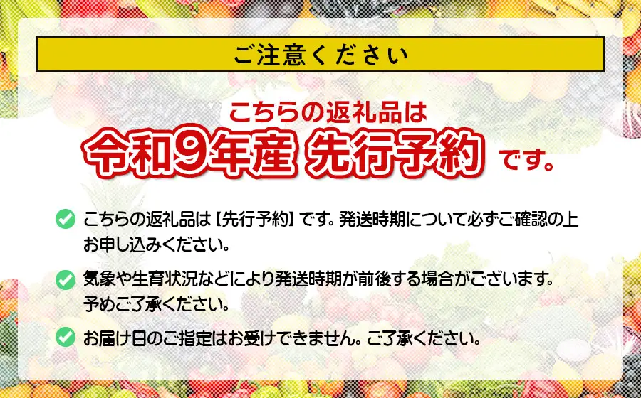 【令和9年産先行予約】こだわりのさくらんぼ　「紅秀峰」（2Lサイズ以上）バラ詰め 500g いまいのさくらんぼ園 K-939