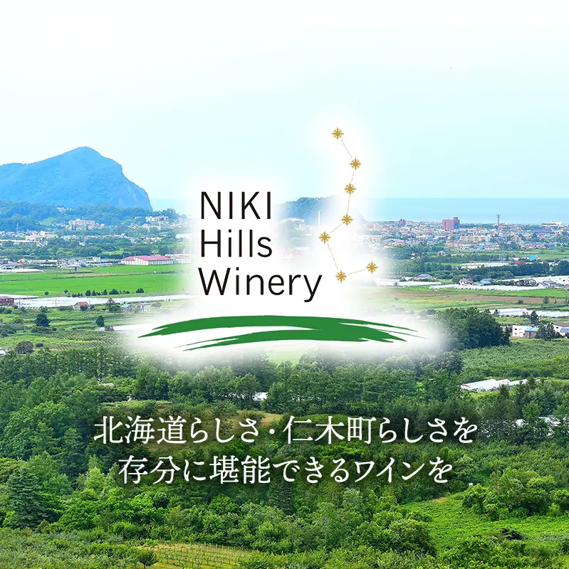 NIKI Hills Winery 白ワイン 【 HATSUYUKI 】 750ml ワイン 洋酒 お酒 アルコール ブドウ ぶどう ドライ [株式会社NIKI Hillsヴィレッジ]