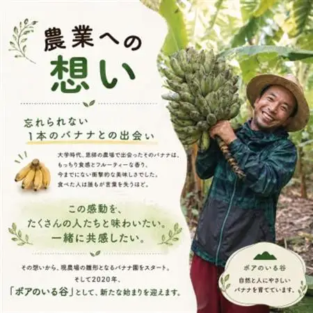 芳醇な甘さにモッチリ食感『有機アップルバナナプレミアム(3kg)』【1534083】