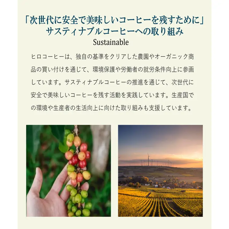 ヒロコーヒー コーヒー(粉) お楽しみ 3回 定期便 珈琲 粉