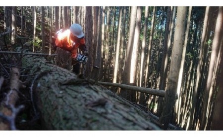 【キャンプ・アウトドアにおすすめ！】薪と薪割り台セット ストーブ 焚火 