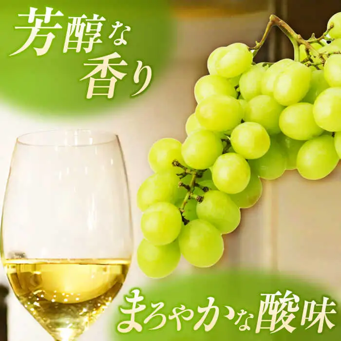 こくわワイン 白ワイン 720ml×2 酒 アルコール コクワ フルーツ [AXAB043]