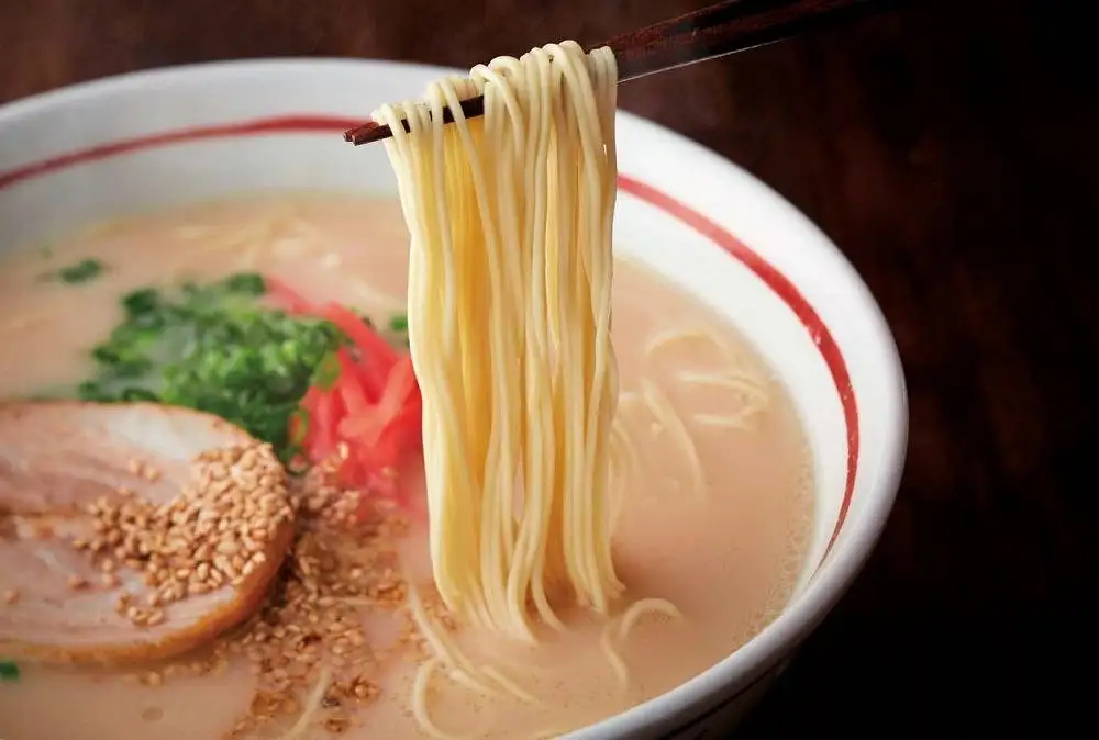 博多ラーメン 10人前 【豚骨ラーメン】| ラーメン 拉麺 博多 とんこつラーメン 豚骨 とんこつ 10食 半生麺 スープ 豚骨スープ とんこつスープ 2種 福岡 福岡県 大川市