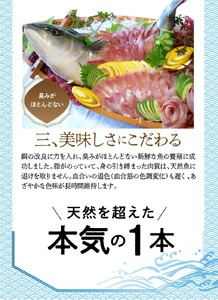 まるごと一本！大和ブリ 原魚約4kg N072-YC131