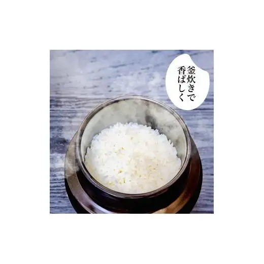R8年産 新米 こしひかり 5kg 