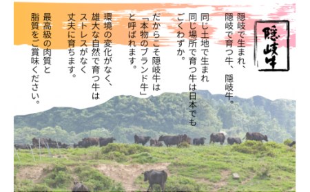 【定期便6ヵ月】隠岐牛 焼肉上盛合わせ 定期便